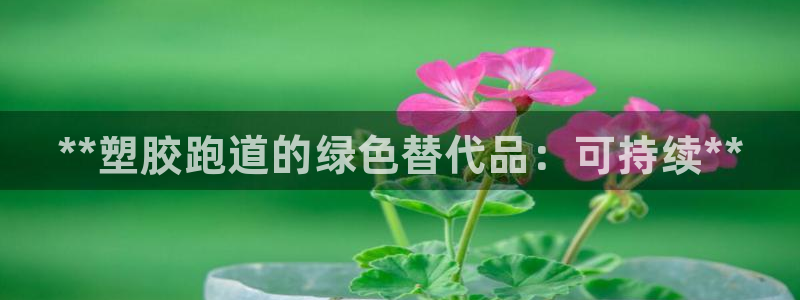 尊龙凯时能不能提现?：**塑胶跑道的绿色替代品：可持