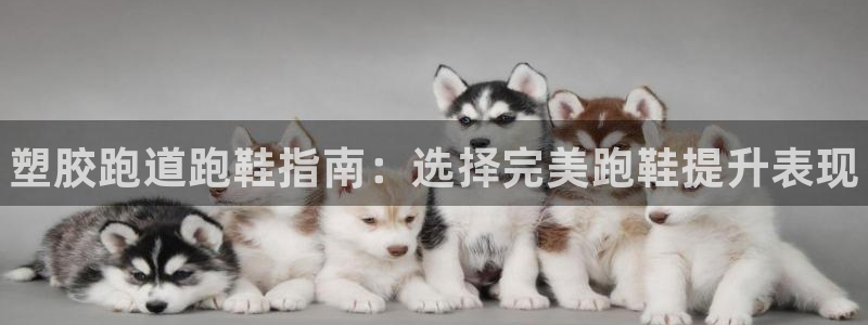 尊龙凯时提现不了：塑胶跑道跑鞋指南：选择完美跑鞋提升表现