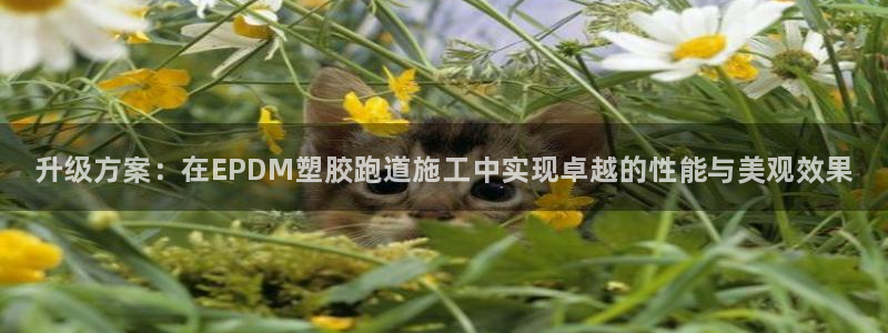 尊龙官网入口：升级方案：在EPDM塑胶跑道施工中实现