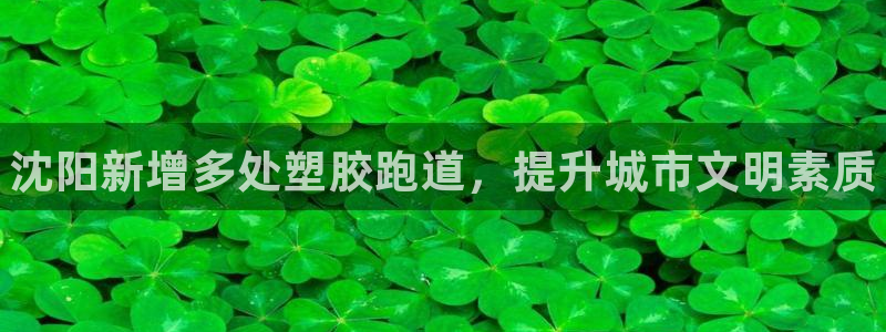 尊龙网页：沈阳新增多处塑胶跑道，提升城市文明素质