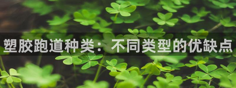 尊龙人生就是博管网：塑胶跑道种类：不同类型的优缺点