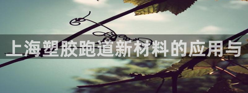 尊龙D88现金旧版：上海塑胶跑道新材料的应用与