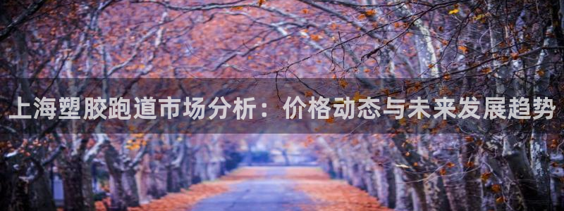 尊龙t500和t300区别：上海塑胶跑道市场分析：价格动态与